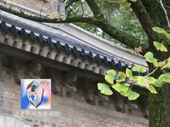 -灵谷景区