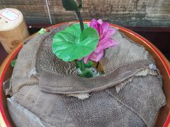 -津门老羊家·铜锅涮羊肉·烧烤(科技园店)