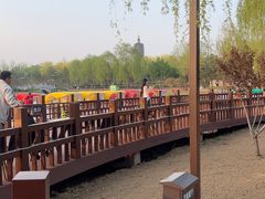 -西海子公园