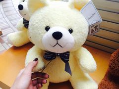 -济州岛泰迪熊博物馆