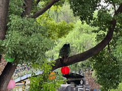 -J Create城市露营咖啡·简餐·宠物(上海动物园店)