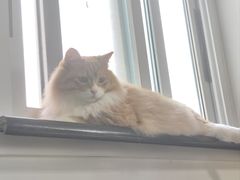 -纳吉亚猫专科动物医院博雅分院