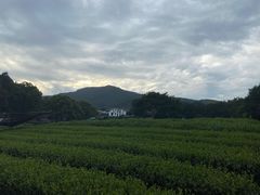 -东航云逸酒店(九溪烟树店)