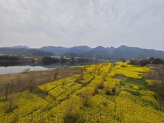 -新安江山水画廊风景区