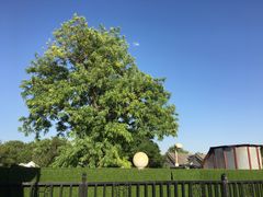 -北门涮肉·炭火铜锅涮肉(什刹海店)