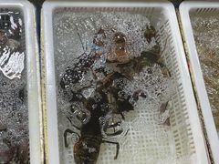 -霞涌市场海鲜摆卖区