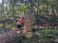 -上海佘山国家森林公园天马山园