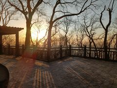 -紫金山山顶公园