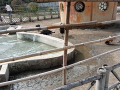-哈尔滨北方森林动物园