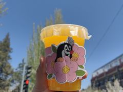 -布拉格餐厅· 中欧捷克菜(全国首店)