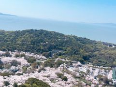 -蠡湖中央公园