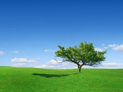 android_upload_pic-合肥南站