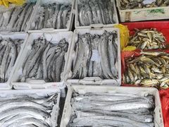 -芦潮港集贸市场