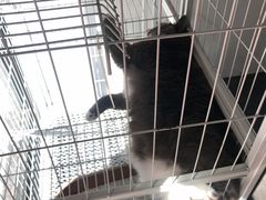 -乐果甜心·潮汕冰室(南澳后宅分店)