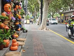 -Money Shops(愚园路店)