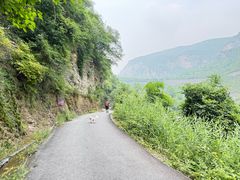 -青龙山生态文化旅游区(慈云寺)