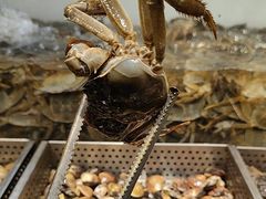 -金滏山烤肉·海鲜·火锅自助餐厅(襄阳万达店)