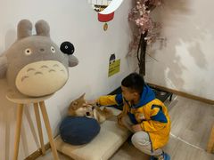 -柴迷FANS CLUB·柴犬狗咖·猫咖