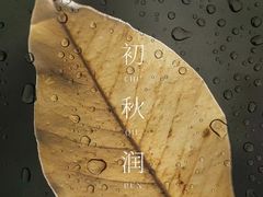 -上海滩餐厅(BFC外滩金融中心店)