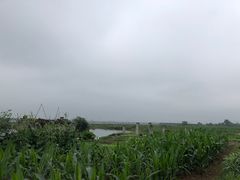 -柳侯公园