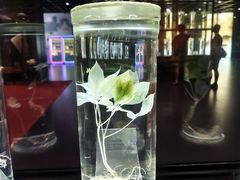 -广东中医药博物馆