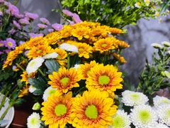 -何兮花店·气球派对鲜花店(马桥银春路万科城店)