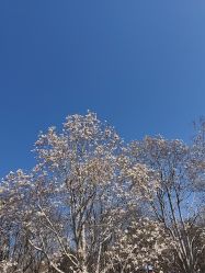 -人民大会堂宴会厅