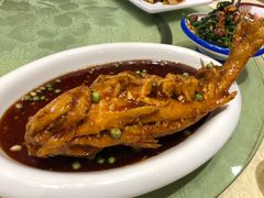-海岛渔村大酒店(云霄路店)