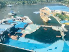 -秦皇岛乐岛海洋王国