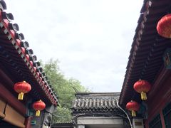 -百好乐宠物友好餐厅(朝外大街店)