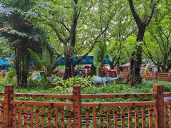 -晓港公园