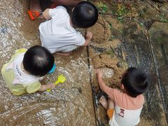 -火炉山森林公园