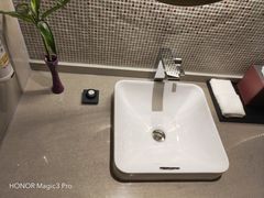 -南京禄口机场雅高铂尔曼大酒店