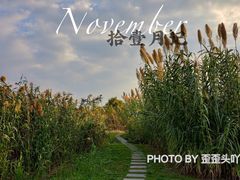 -嘉北郊野公园