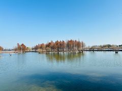 -贡湖湾湿地公园