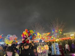 -武汉园博园(武汉自然博物馆)