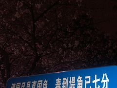 -堤角公园