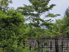 -梭布垭石林景区