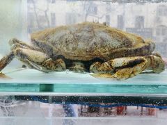 -来之顺海鲜菜馆·青岛菜·始于1993(栈桥店)