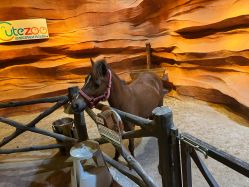 -酷嗒动物文化乐园(cutezoo西溪乐天城店)