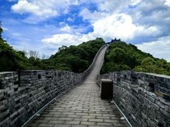 -黄贤森林公园