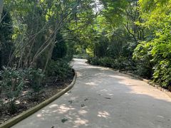 -塘沽森林公园