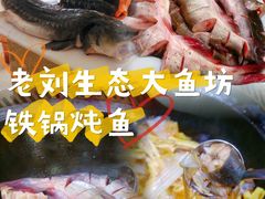-老刘生态大鱼坊铁锅炖鱼(赛马场店)