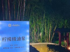 -罗浮山嘉宝田森林温泉度假酒店