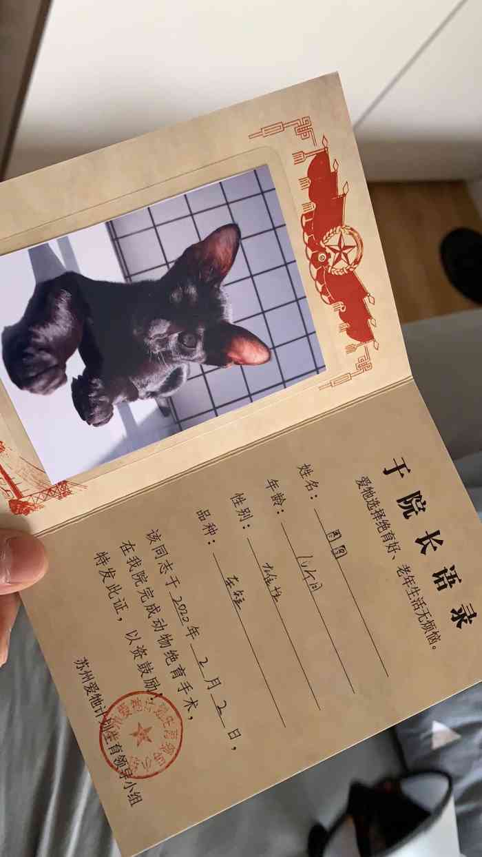 爱它动物医院·24小时急诊外科中心(上海领华苏州分院)-"【项目】疾病