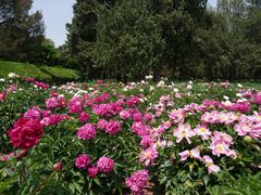 -天坛公园