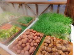 -湘力力小院·鱼汤泡饭(枫林路店)
