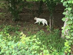 -白渔泡湿地公园