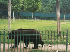-秦皇岛野生动物园