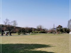 -宜兴龙背山森林公园